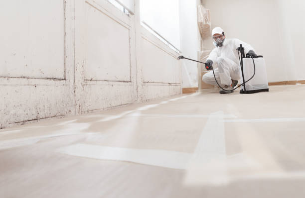 24/7 Emergency Mold Removal experts in Doylestown, PA