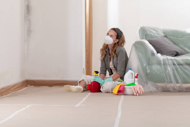 Reliable Mold Removal contractor in Doylestown, PA by Mold Remediation HQ